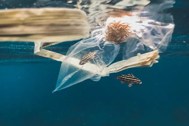 Gouvernance des ressources