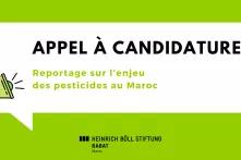 Reportage sur l’enjeu des pesticides au Maroc