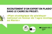 Recrutement d’un expert en plaidoyer dans le cadre du projet 