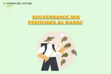 Gouvernance des pesticides au Maroc