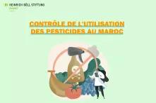 Fiche 4 : Contrôle de l'utilisation des pesticides au Maroc 