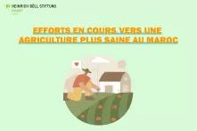 Efforts en cours vers une agriculture plus saine avec moins intrants chimiques au Maroc