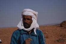 Where grass once grew