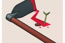 الحرب الواحية