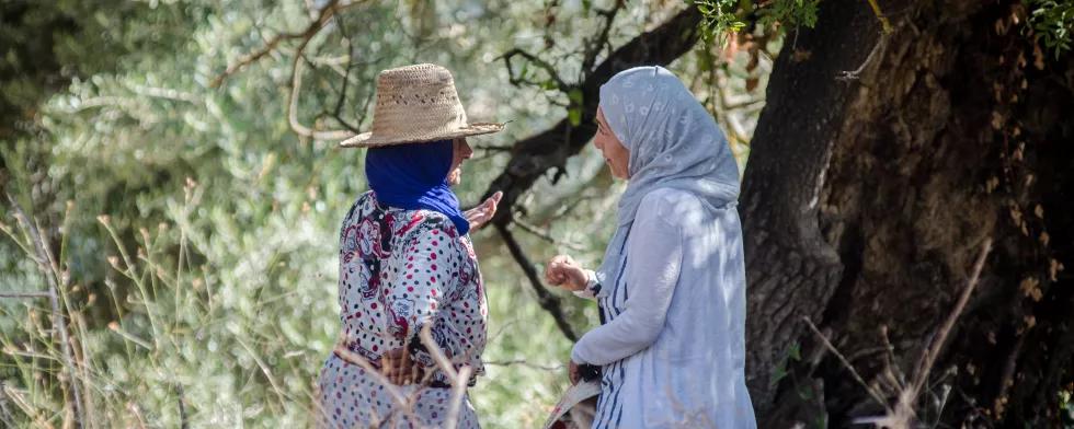  Semences anciennes, nouveaux espoirs