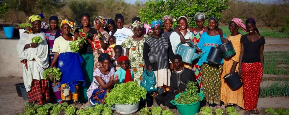 Fédérations paysannes : plus forts ensemble