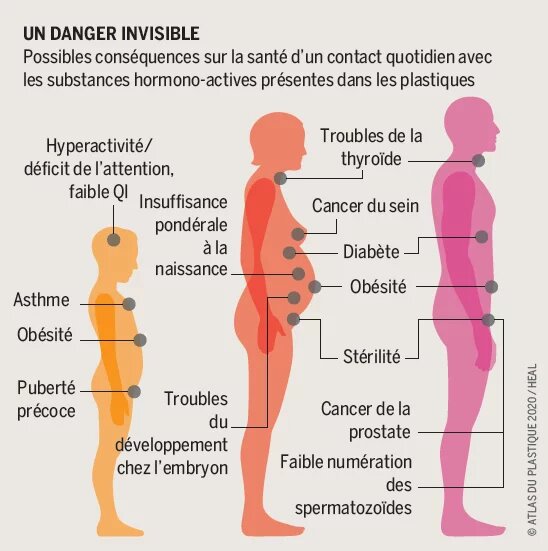 Un danger invisible - Possibles conséquences sur la santé d’un contact quotidien avec les substances hormono-actives présentes dans les plastiques