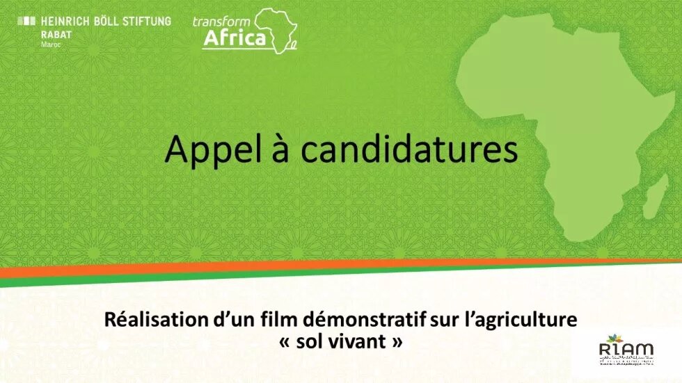 Réalisation d'un film démonstratif sur l'agriculture sol vivant