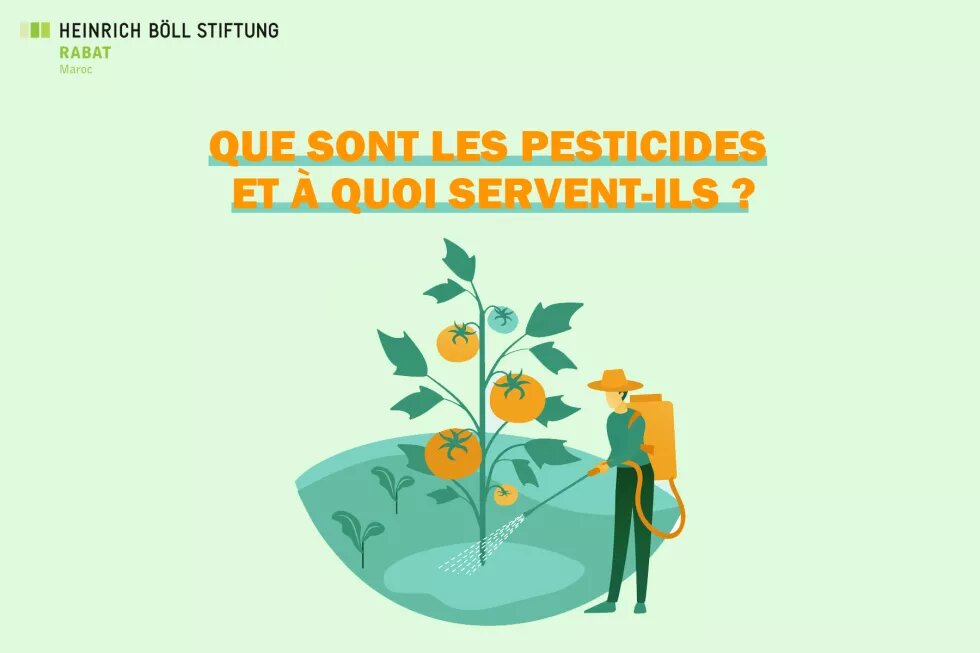 Que sont les pesticides et à quoi servent-ils ?