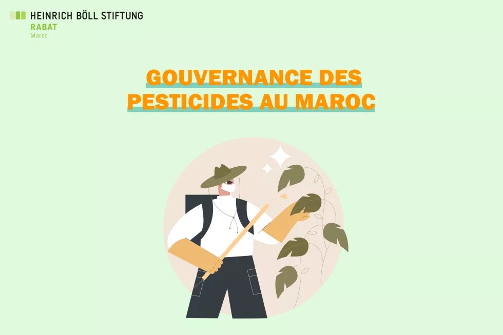 Gouvernance des pesticides au Maroc