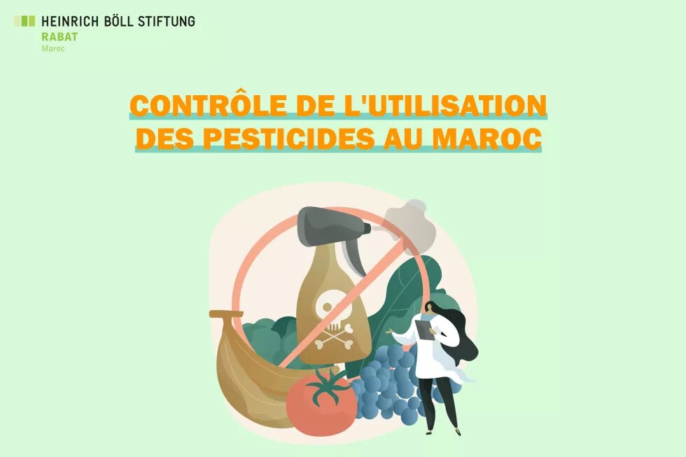 Fiche 4 : Contrôle de l'utilisation des pesticides au Maroc 