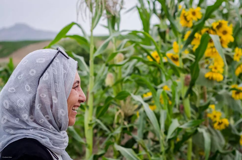 Femmes et agro-écologie en Afrique